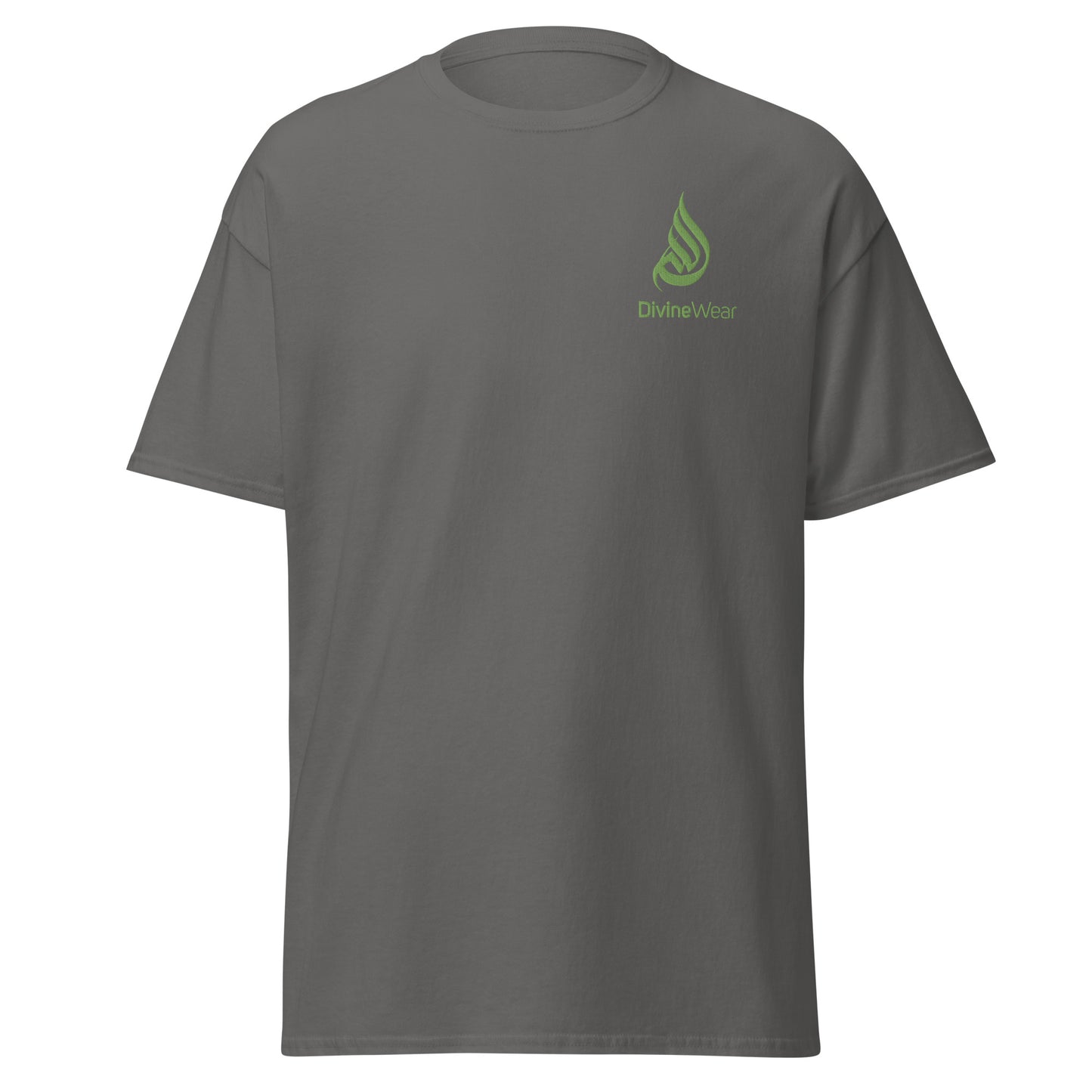 DivineWear Men's classic tee Grey / Kiwi
