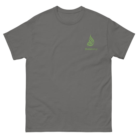 DivineWear Men's classic tee Grey / Kiwi