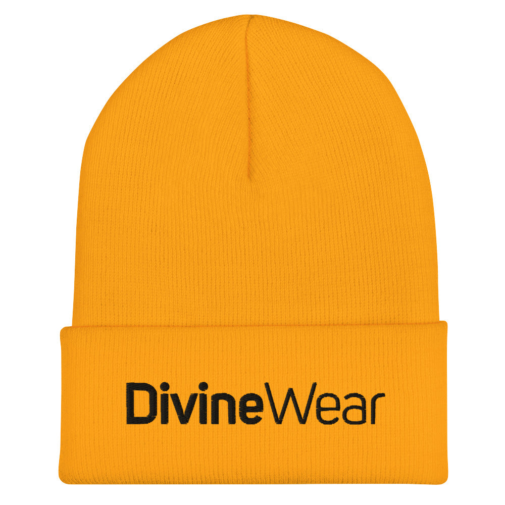 DivineWear FW22 Cuffed Beanie