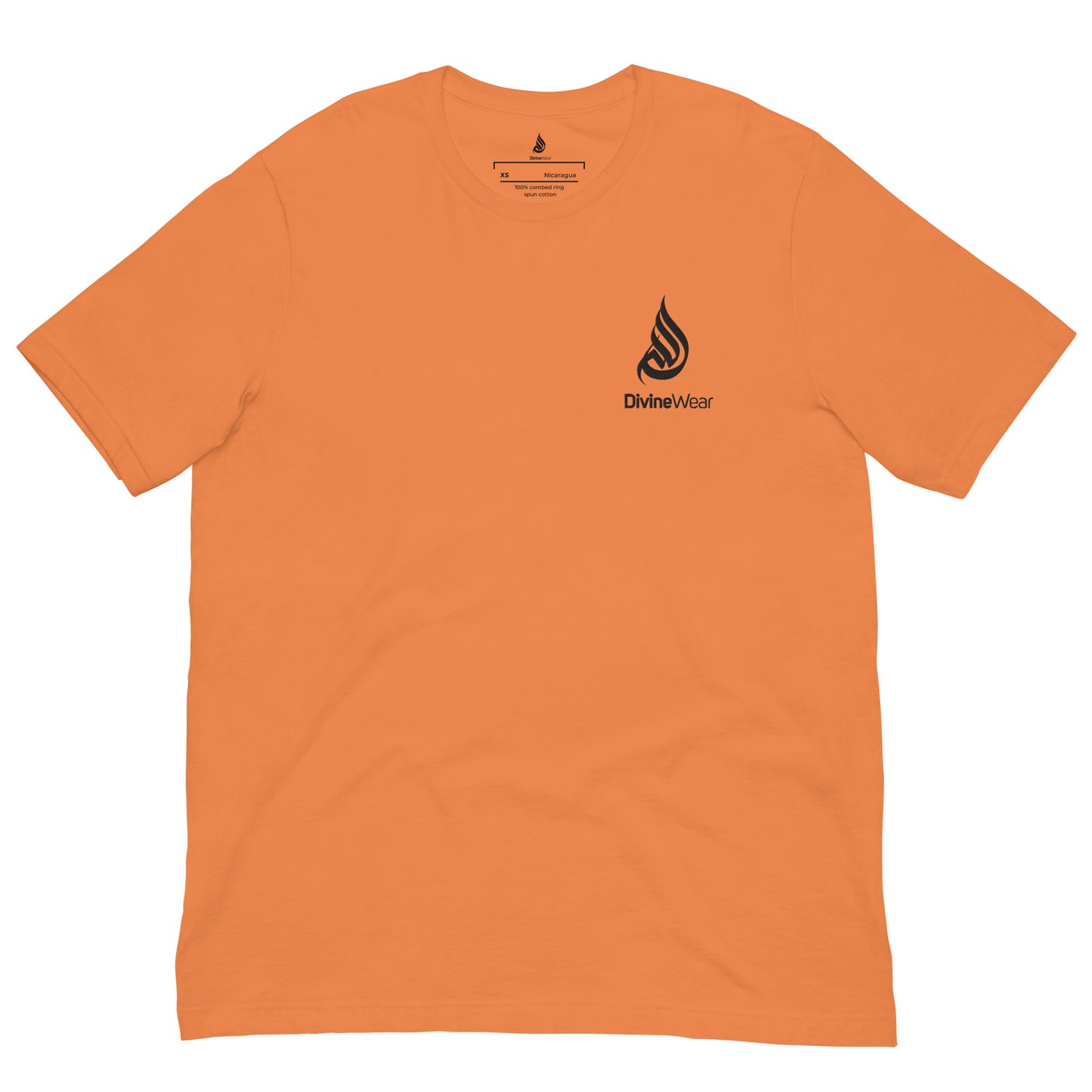 DivineWear FW22 Pumpkin  t-shirt