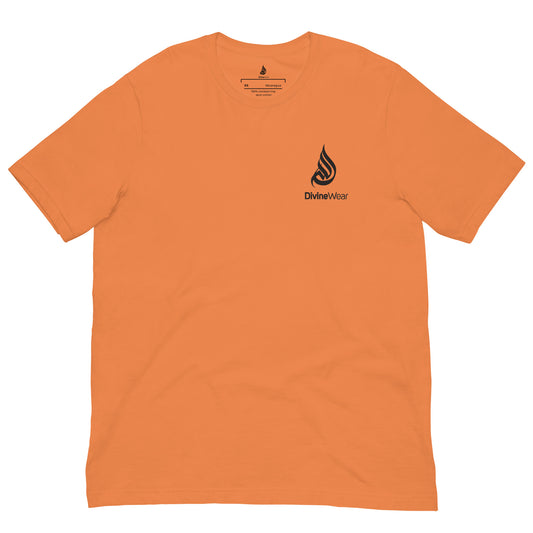DivineWear FW22 Pumpkin  t-shirt